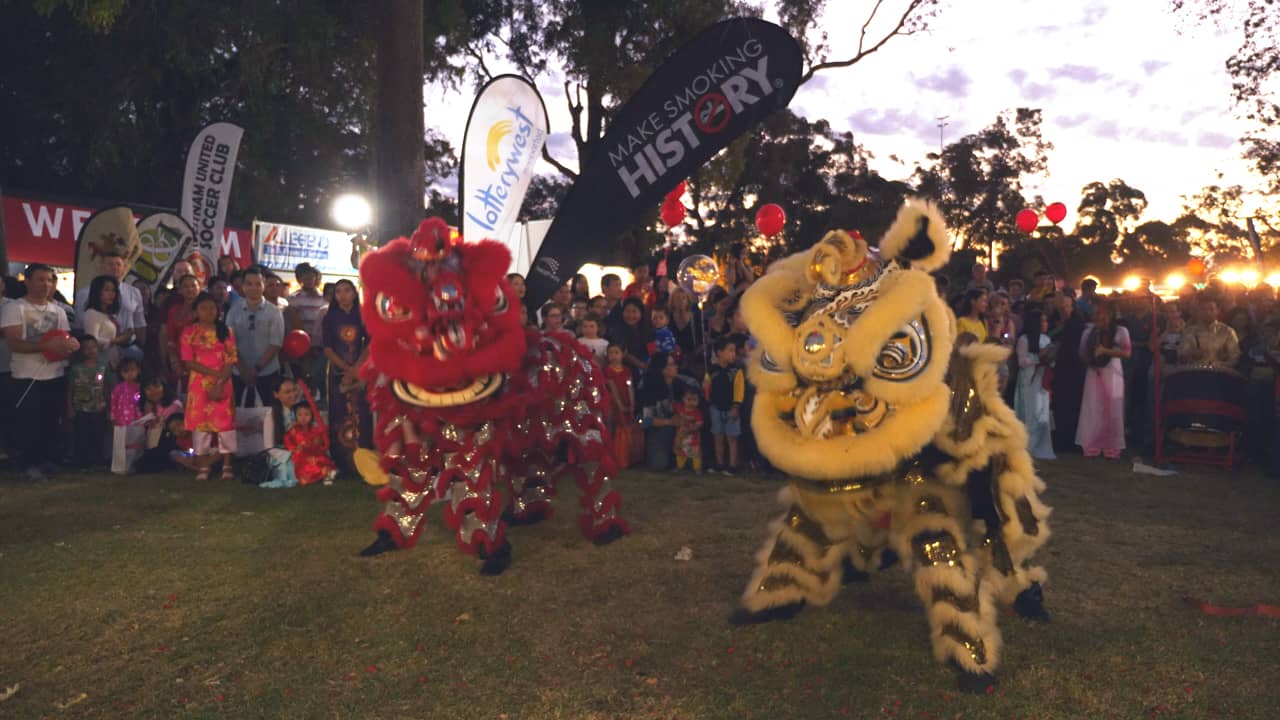 Lion Dance Vietnamese Tet Lunar New Year Celebration Australia