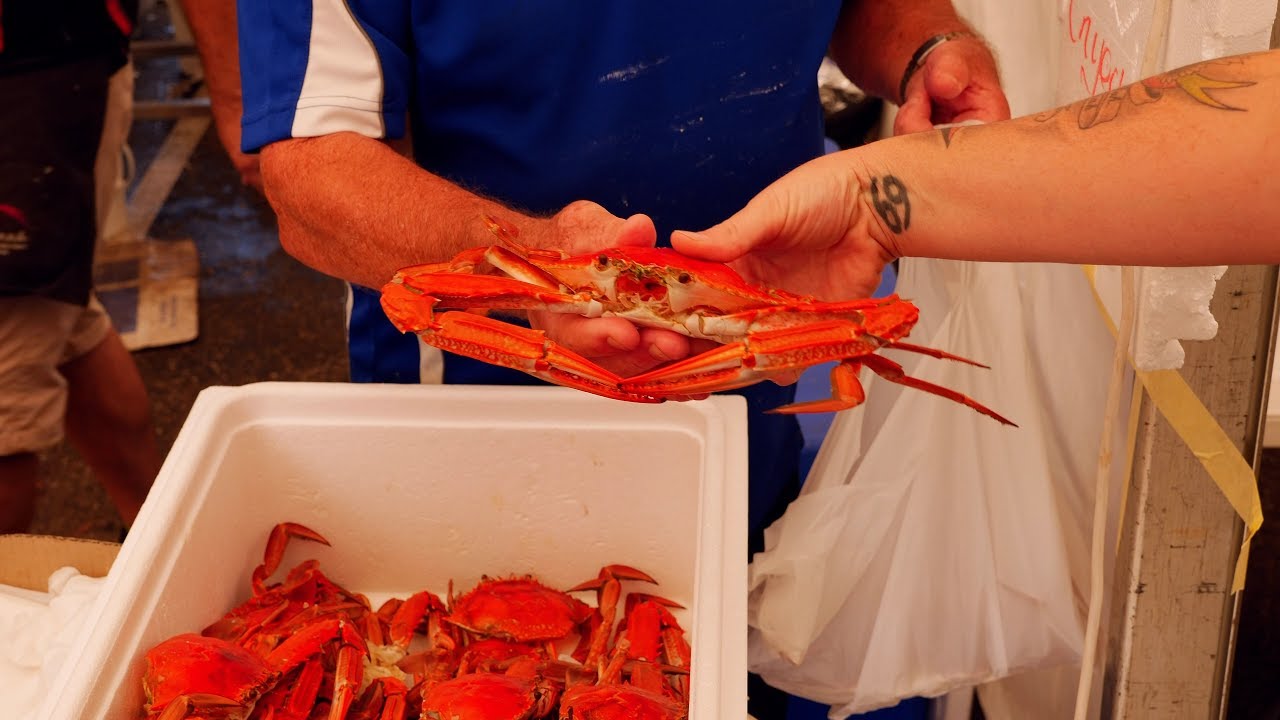 Crab Festival Mandurah best fresh food Western Australia