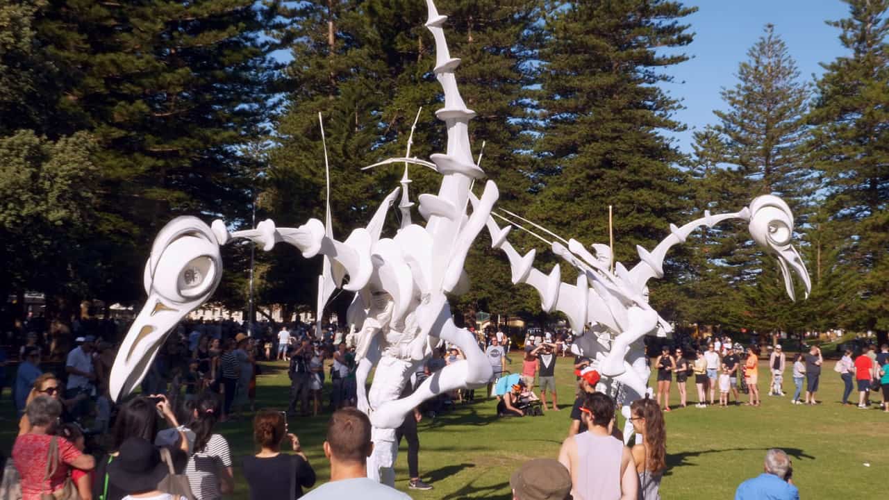 Weird creepy Birds Fremantle International Street Arts festival Australia