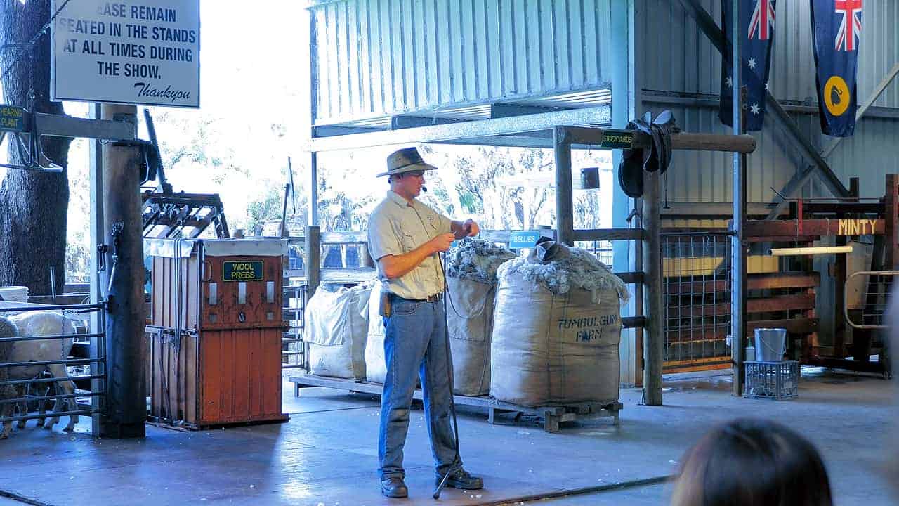 Farm show Cracking the Whip Caversham Wildlife Park Australia