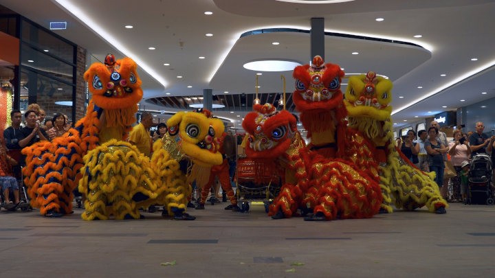 CNY 2019 Chinese New Year of the Pig Perth Australia